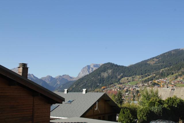 Apartements LES RHODODENDRONS - Châtel