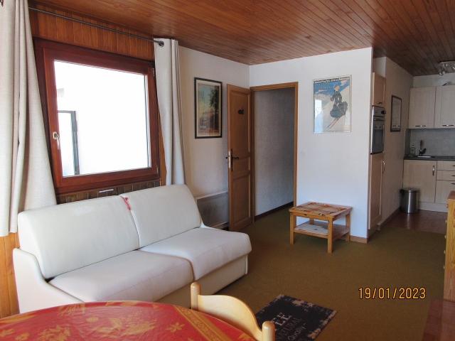 Apartements LES RHODODENDRONS - Châtel