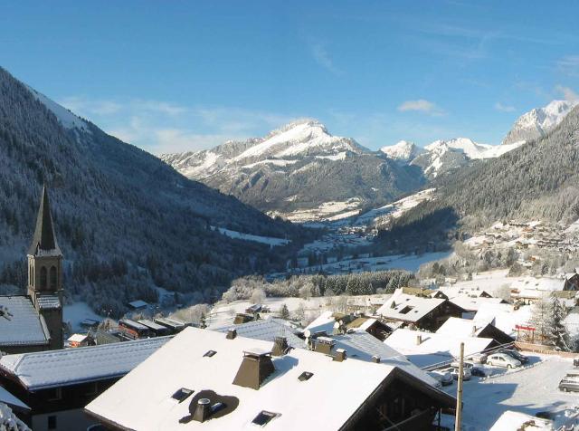 Apartements LES RHODODENDRONS - Châtel