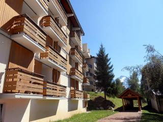 Apartements MEIJE 7 - Les Deux Alpes 1800