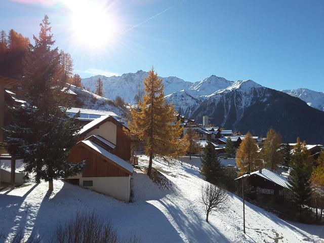 Apartements CRET DE L OURS - Vallandry