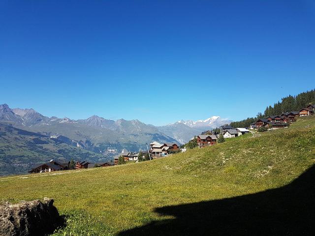 Apartements CRET DE L OURS - Vallandry