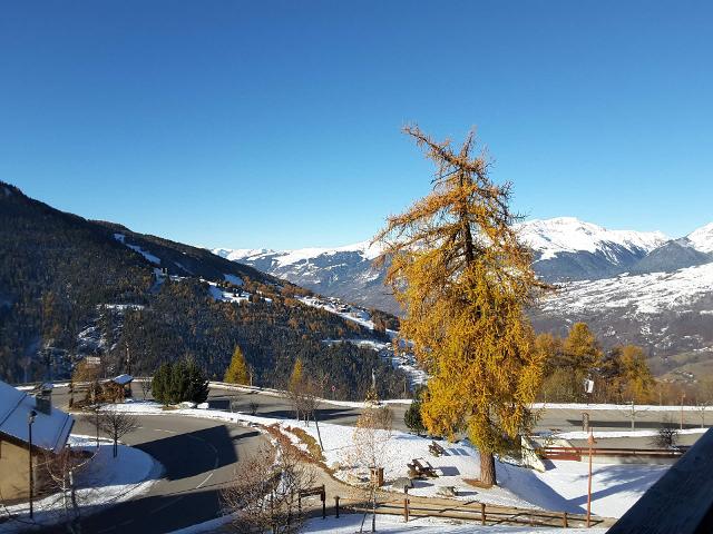 Apartements MICHAILLES - Vallandry