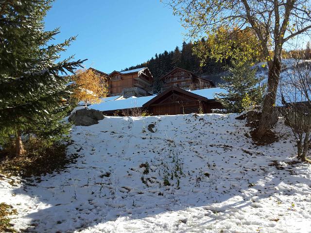 Apartements MICHAILLES - Vallandry