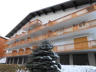 Apartements ROCHAIL - Les Deux Alpes Venosc