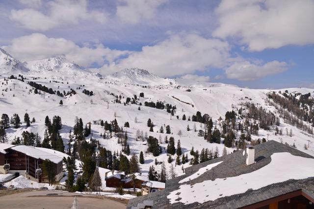 Apartements CARENE - Plagne - Belle Plagne