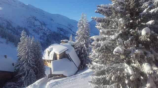 Apartements ARAUCARYA - Avoriaz