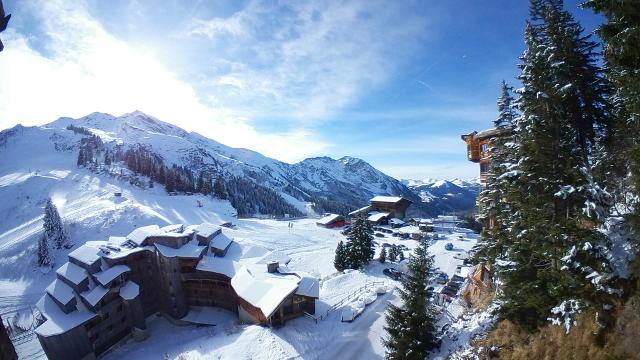 Apartements HAUTS-FORTS 2 - Avoriaz