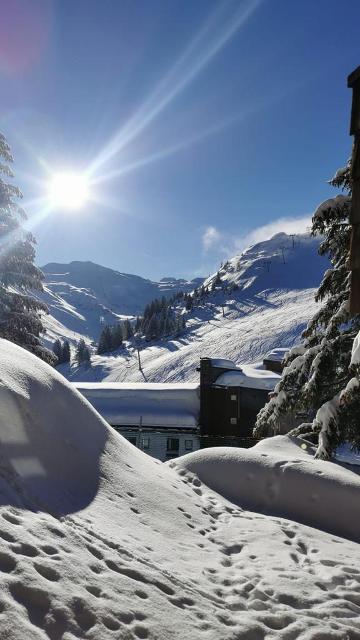 Apartements HAUTS-FORTS 2 - Avoriaz