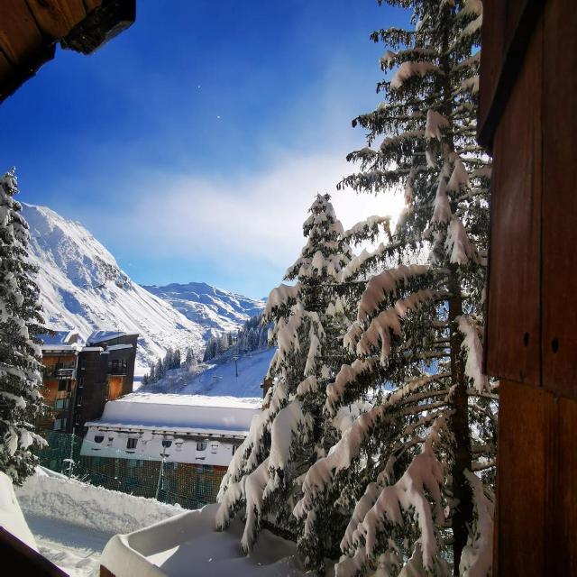 Apartements HAUTS-FORTS 2 - Avoriaz