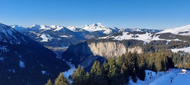 Apartements SASKIA - Avoriaz