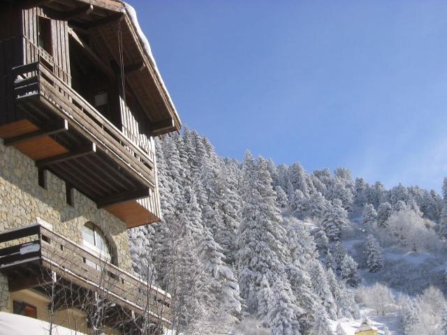 Apartment Gaillard - Méribel Mottaret 1850