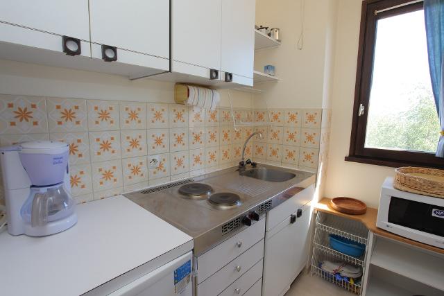 Apartements GOLEON - La Toussuire