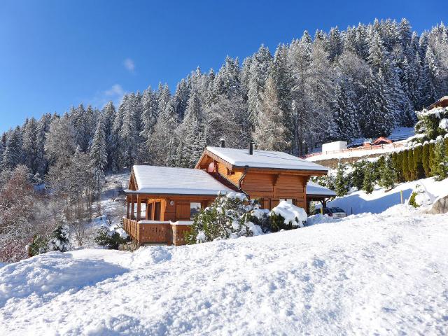 Chalet Chalet Achillea CH1884.131.1 - Villars - sur - Ollons 