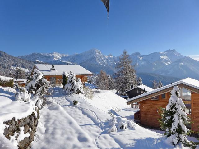 Chalet Chalet Achillea CH1884.131.1 - Villars - sur - Ollons 