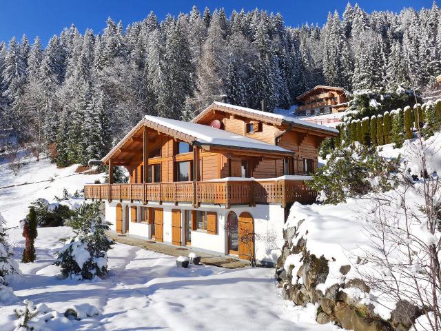 Chalet Chalet Achillea CH1884.131.1 - Villars - sur - Ollons 