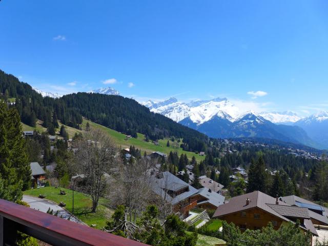 Châlet Savoie 1 - Villars - sur - Ollons