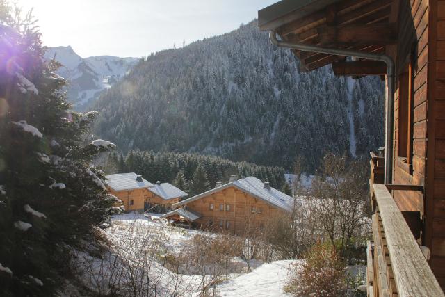 Apartements LE PETIT SAVOYARD - Châtel