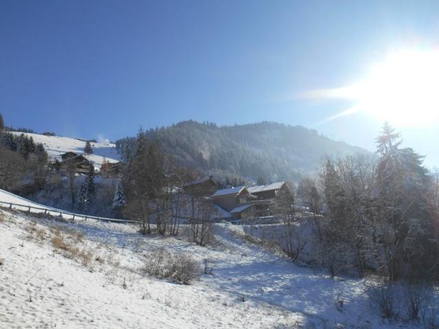 Apartements L'o ROUGE - Châtel