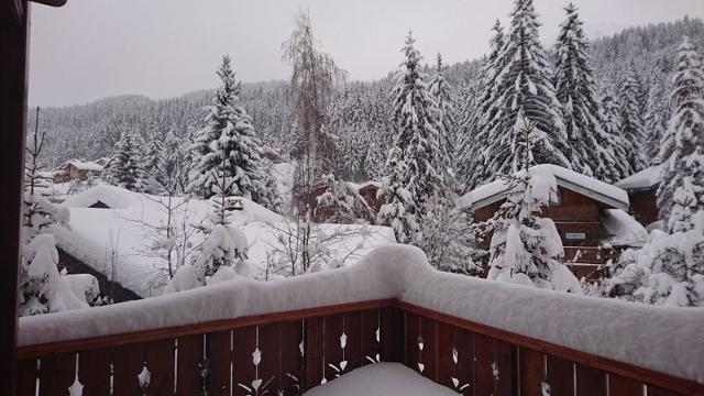 CHALET BERGER - La Tania