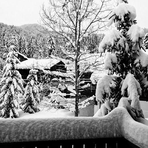 CHALET BERGER - La Tania