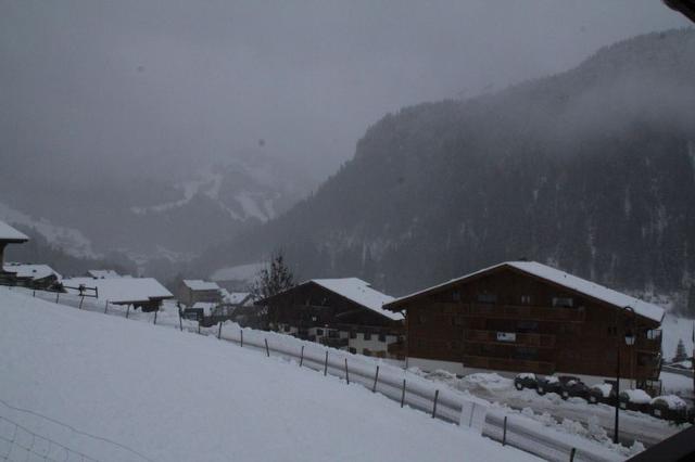 Apartements LES ECRINS - Châtel