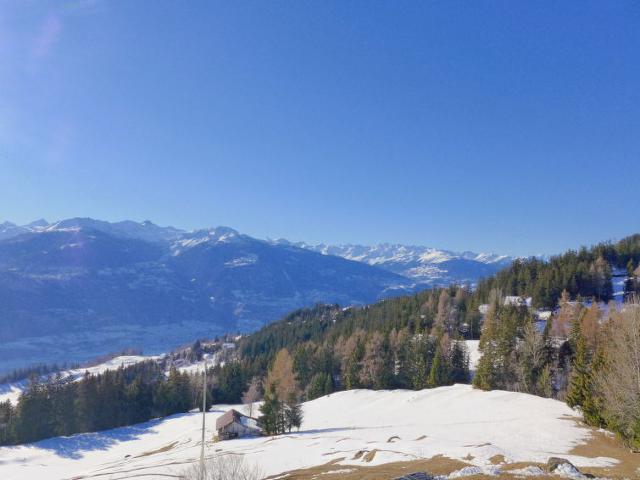 Apartment La Clairière des Barzettes A/B - Crans - Montana