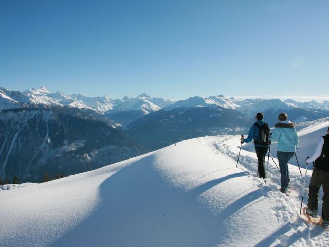 Apartment La Clairière des Barzettes A/B - Crans - Montana 