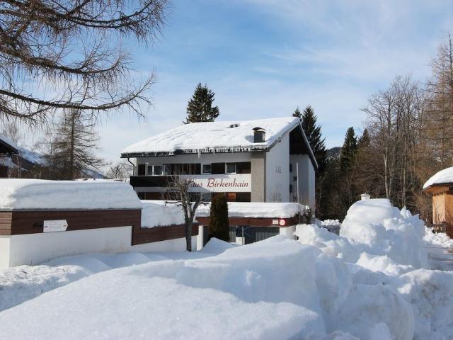 Apartment Am Birkenhain - Seefeld in Tirol