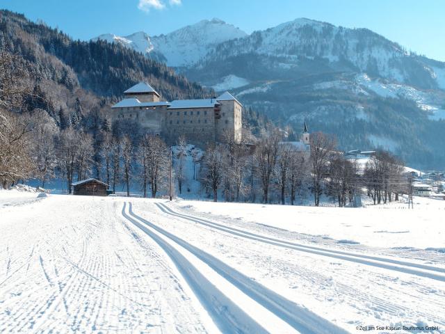 Châlet Ferienhaus Dr.Steiner - Zell am See