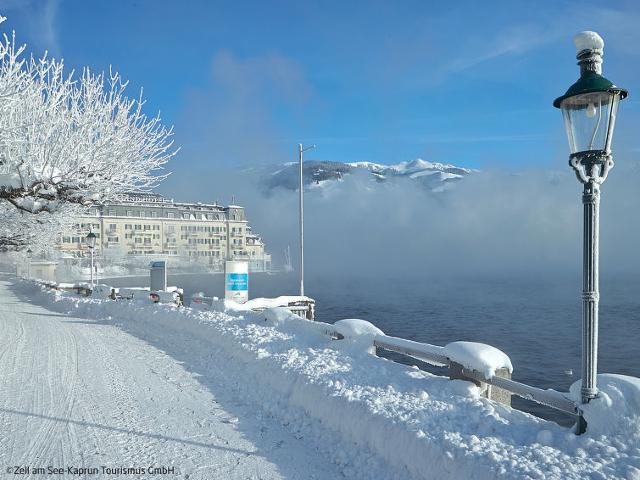 Châlet Ferienhaus Dr.Steiner - Zell am See