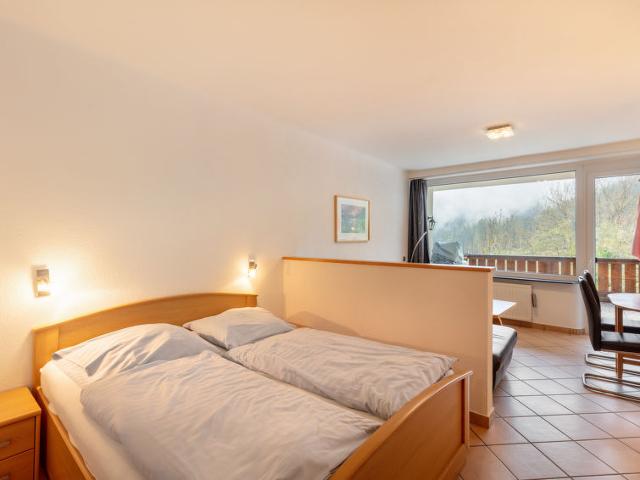 Apartment Holiday - Zell am See