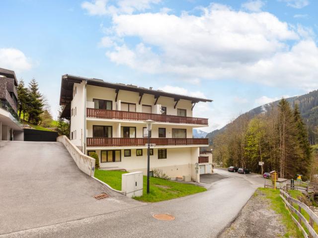 Apartment Holiday - Zell am See