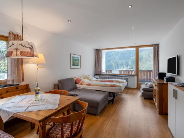 Apartment Holiday - Zell am See