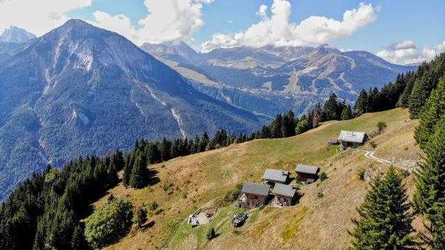 Chalet RAVIERE - Plagne - Champagny en Vanoise