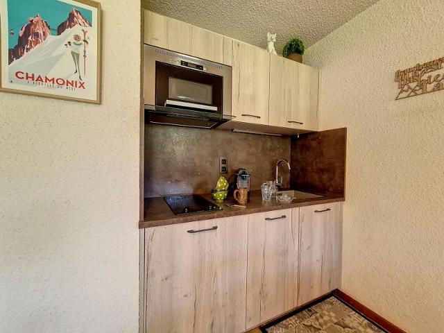Apartements EPERVIERE - Saint Martin de Belleville