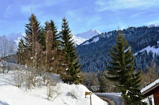 Appartment Millepertuis B GB550-13 - Le Grand Bornand