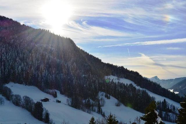 Appartment Millepertuis B GB550-13 - Le Grand Bornand