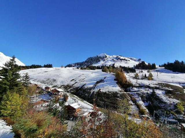Appartment Planay CH320-1A - Le Grand Bornand