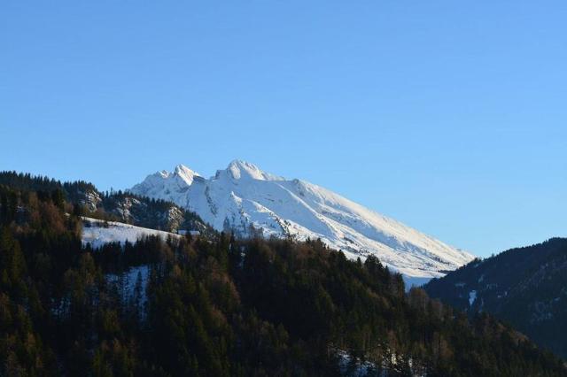 Appartment Flocons GB450-02 - Le Grand Bornand