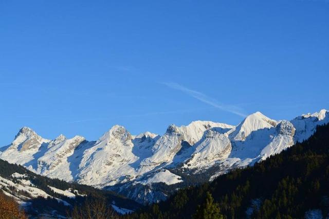 Appartment Flocons GB450-02 - Le Grand Bornand