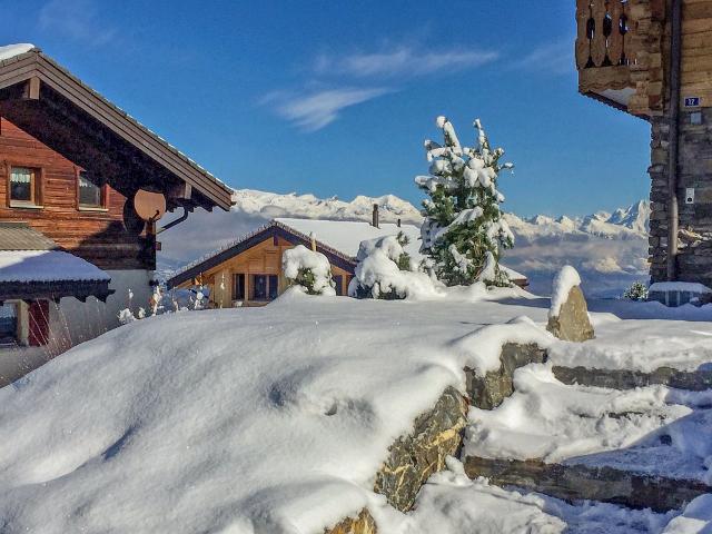 Chalet The Bond - Nendaz