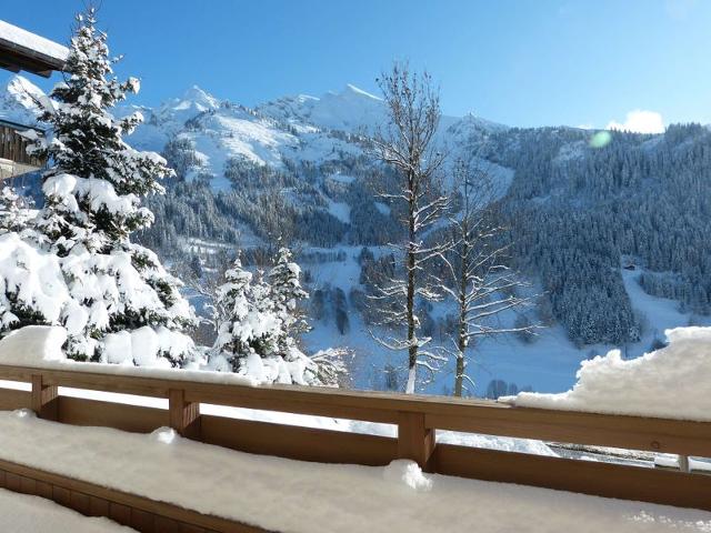 Apartements BELROSE - La Clusaz