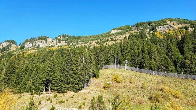 Apartements ANDROMEDE - Flaine Forêt 1700