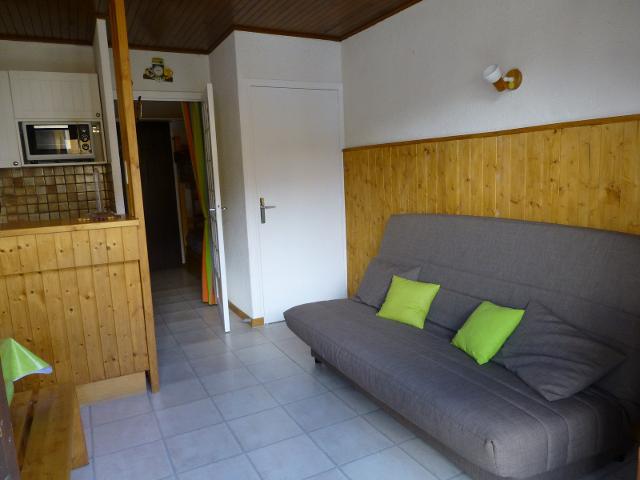 Apartements PAILLOTTE - Alpe d'Huez