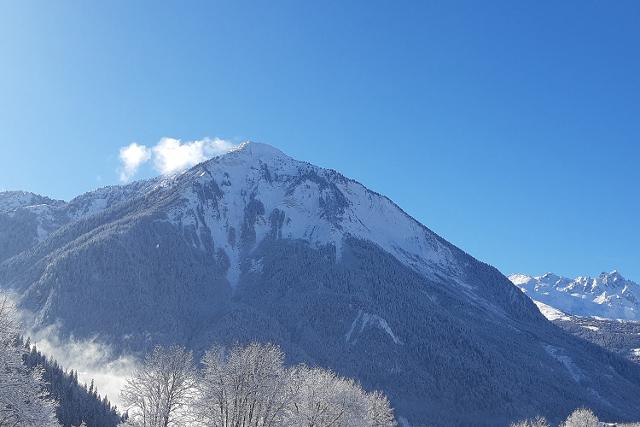 Chalet TOVET - Plagne - Champagny en Vanoise