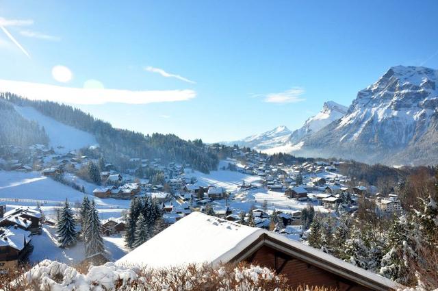 Apartements CARIBOU - Les Carroz d'Araches