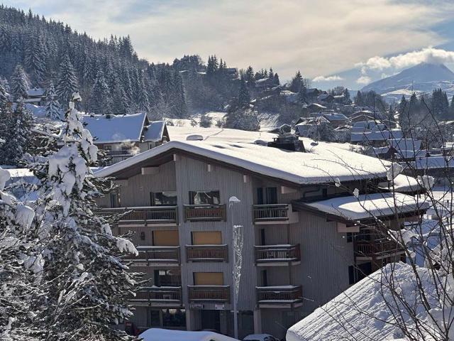 Apartements CARIBOU - Les Carroz d'Araches