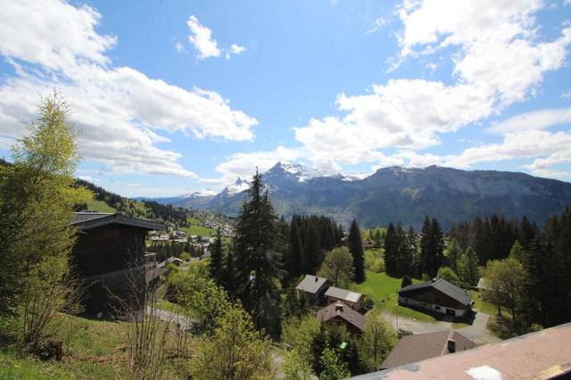 CHALET ELEN - Les Carroz d'Araches