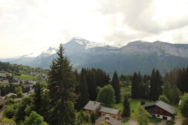 CHALET ELEN - Les Carroz d'Araches